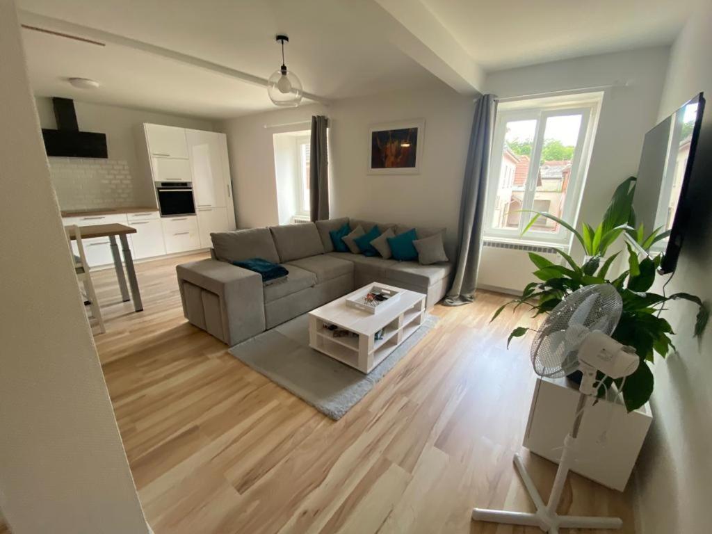 Appartement Centre Ville Rixheim Bagian luar foto